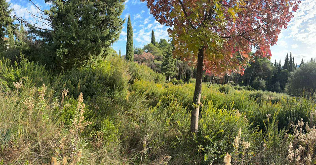 Beautiful plot surrounded by nature in Mojdež, Herceg Novi — photo 17